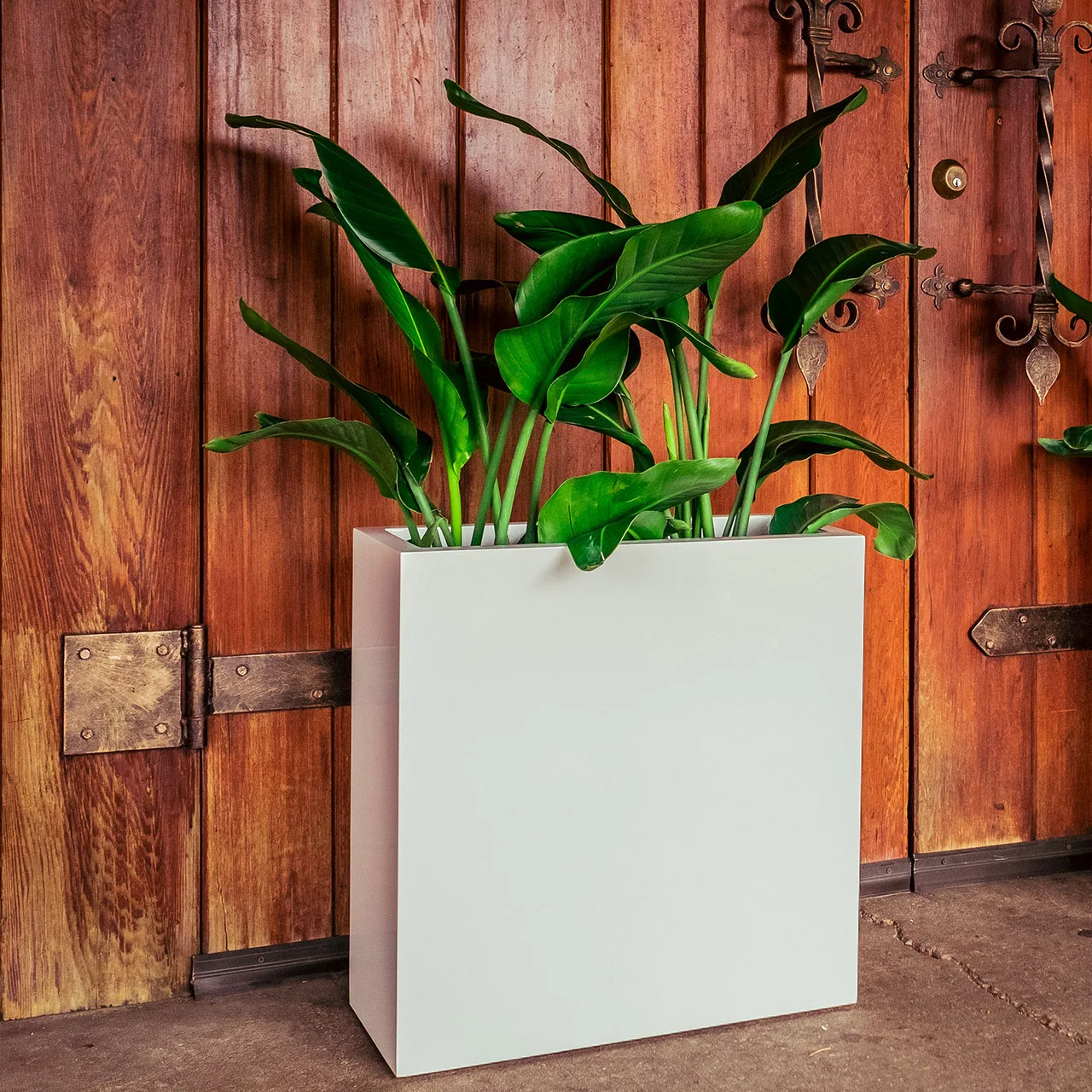 Modern Rectangular Potted Plant