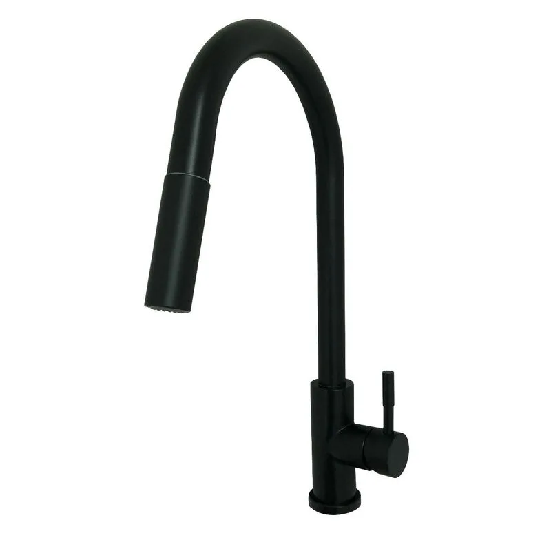 Matte Black Kitchen Faucet