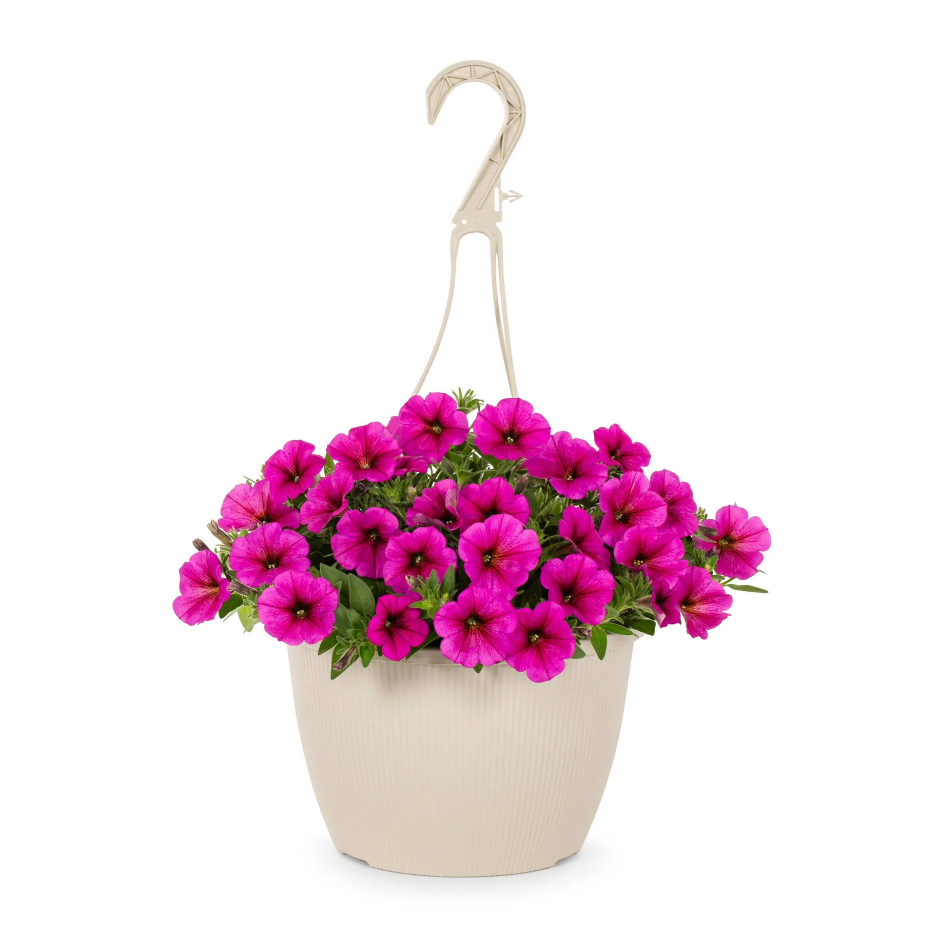 Pink Hanging Planter