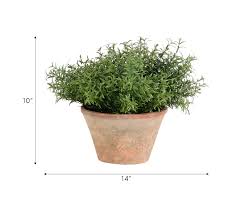 Faux Rosemary Potted Plant