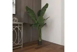 Potted Plant