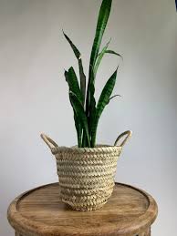 Handwoven Plant Basket With Handles