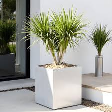 Madeira Modern White Aluminum Square Potted Plant