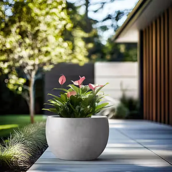 Potted Agave Planter