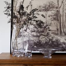 Organic Glass Vase