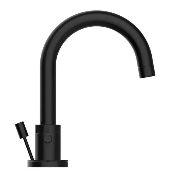 Matte Black Kitchen Faucet
