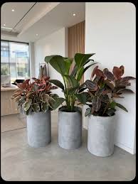 Modern Cylindrical Potted Plant
