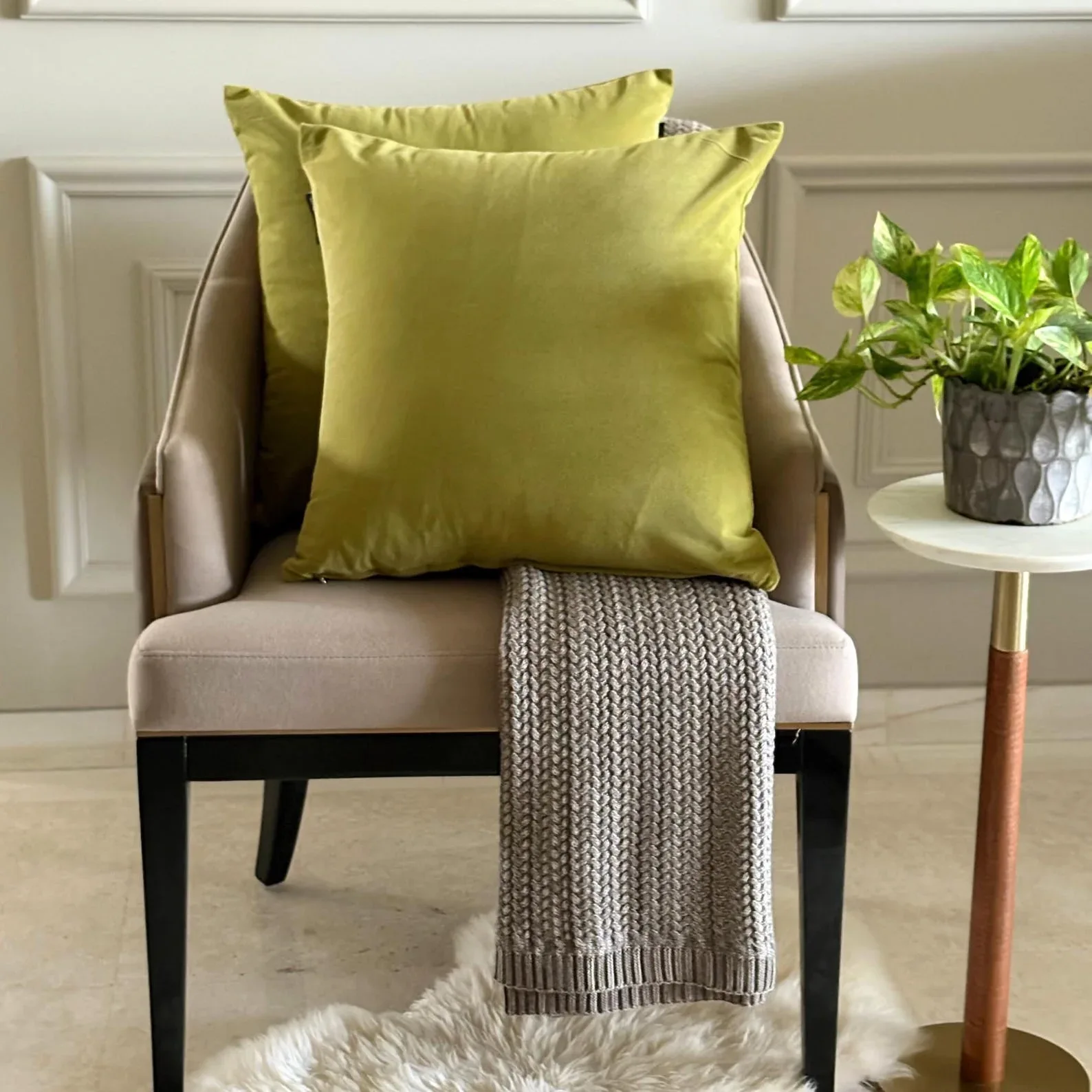 Solid Velvet Throw Pillow