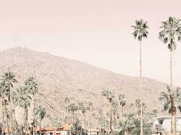 Palm Springs I Framed Wall Art