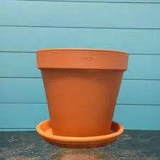 Potted Plant