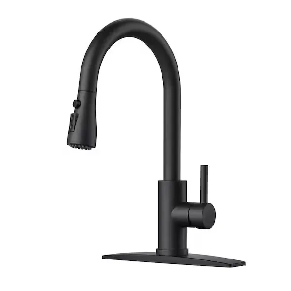 Matte Black Kitchen Faucet