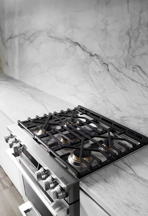 Professional Gas Range
