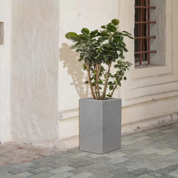 Modern Square Concrete Potted Plant
