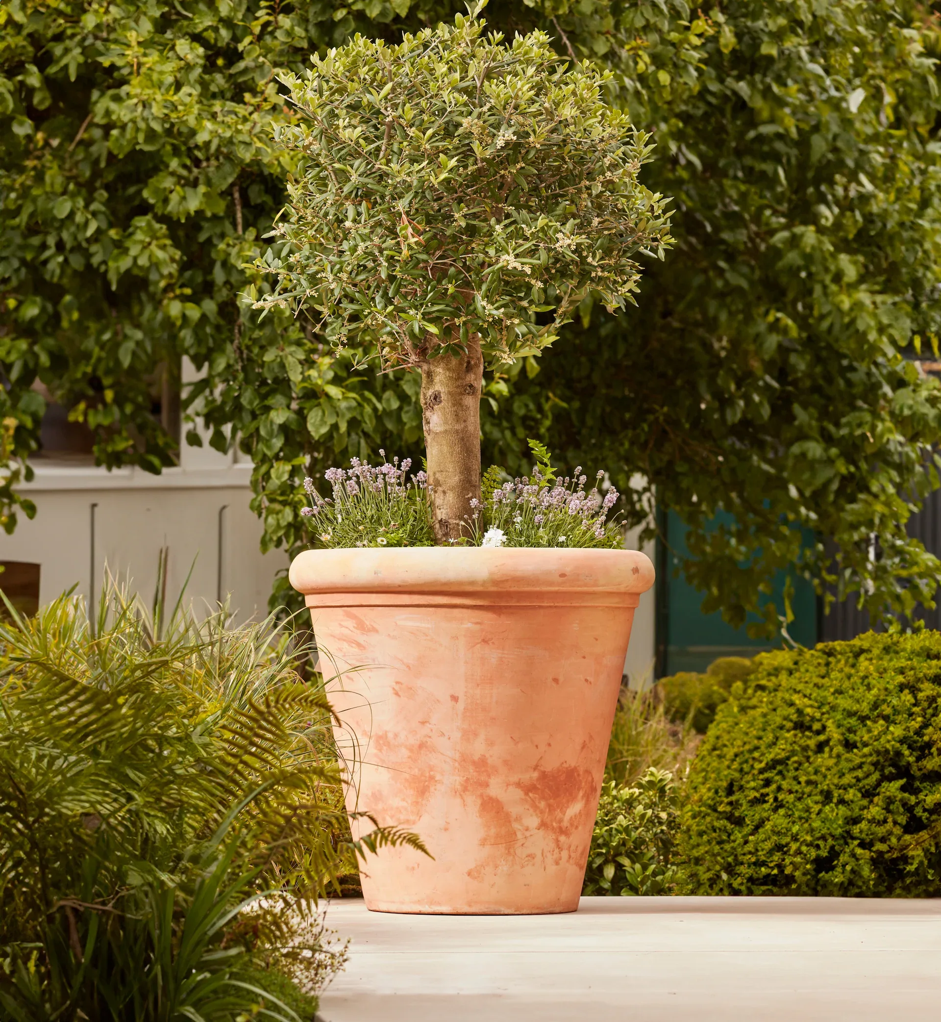 Tapered Terracotta Planter | Handcrafted Outdoor Pot