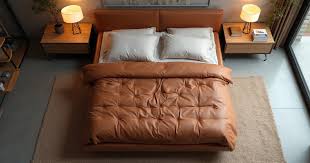 Modern Leather Bed