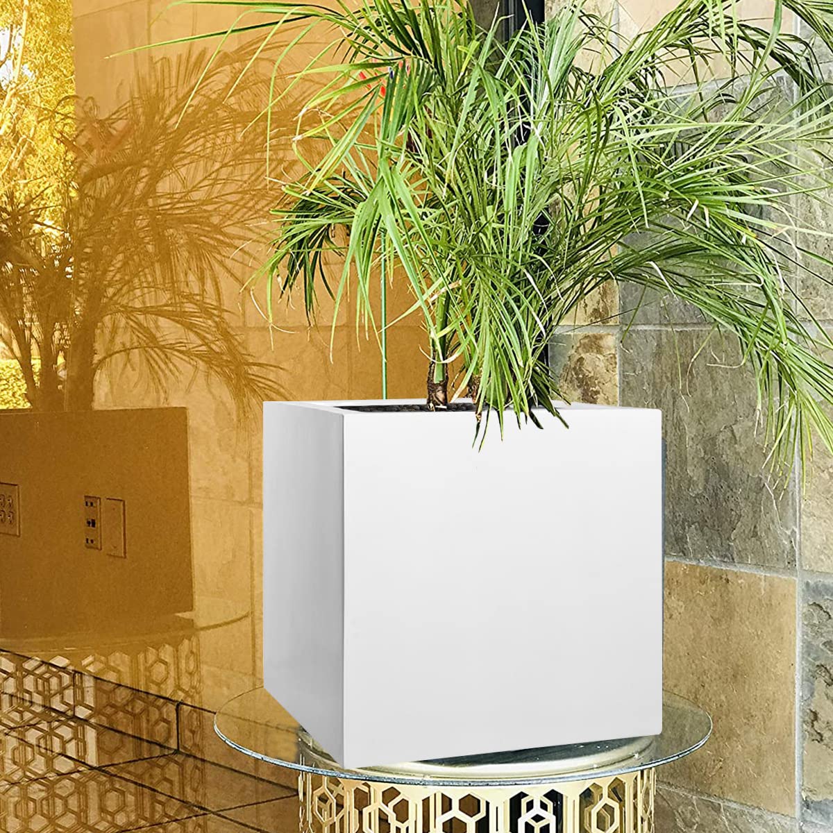 Modern White Square Potted Plant