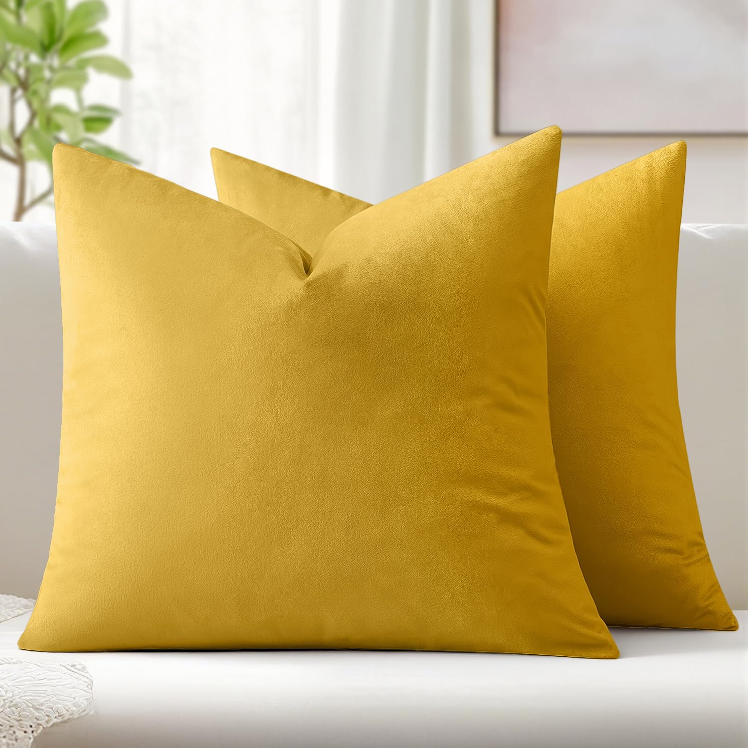 Solid Velvet Throw Pillow