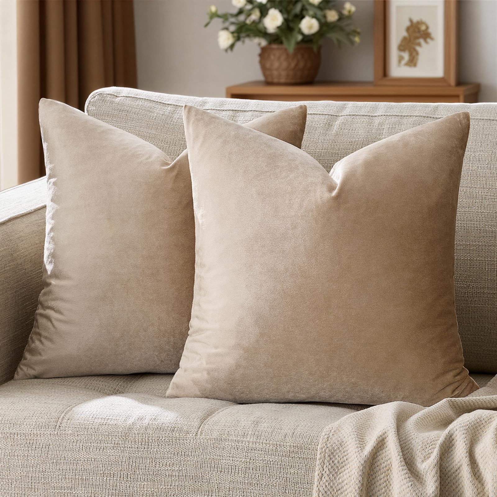 Solid Velvet Square Throw Pillow