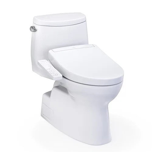 Toilet With Bidet Seat