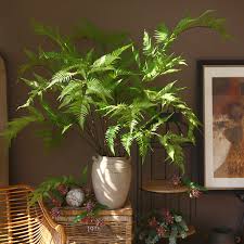 Potted Plant
