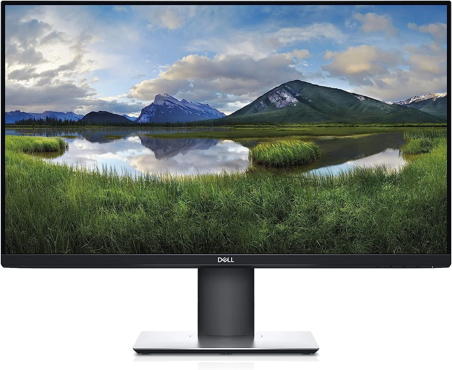 Dell Computer Monitor