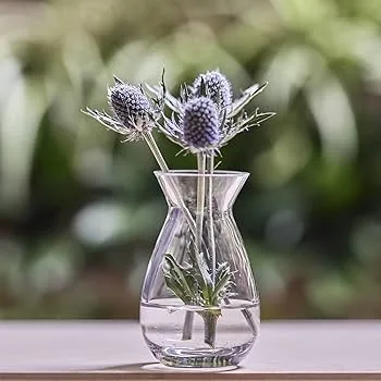 Minimalist Oval Glass Vase