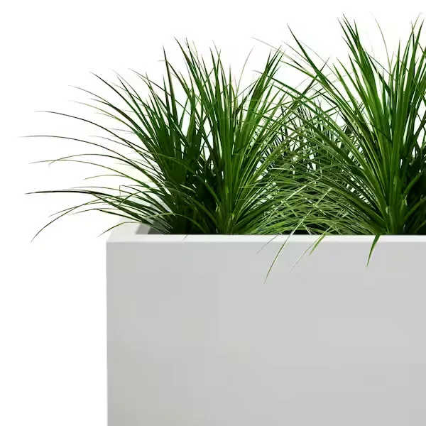 Kante Modern Rectangular Potted Plant