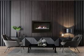 Modern Linear Fireplace Insert