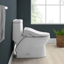 Vivante Modern White Toilet With Bidet Seat
