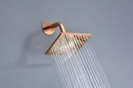 Shower Head