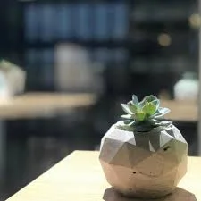 Geometric Concrete Planter