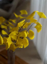 Vase With Ginkgo Branch