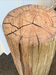 Live Edge Log Coffee Table