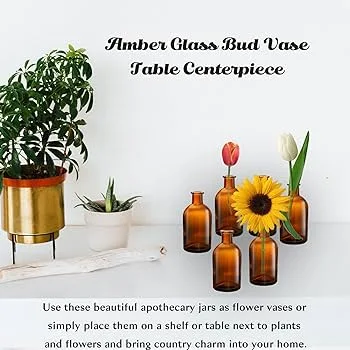 Glass Bottle Vase