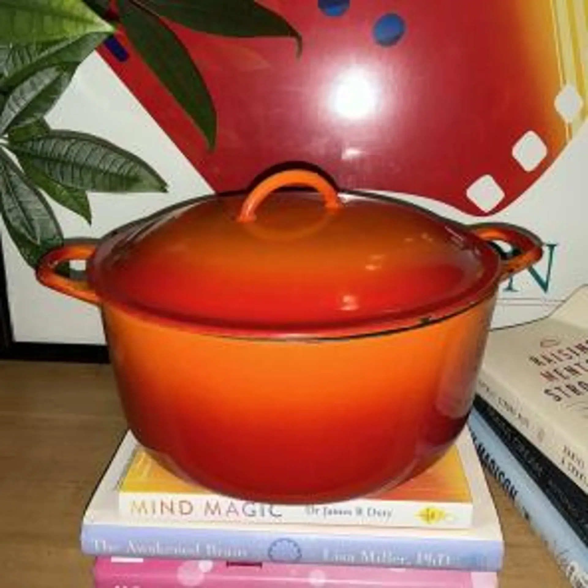 Pioneer woman Orange Iron Dutch Oven
