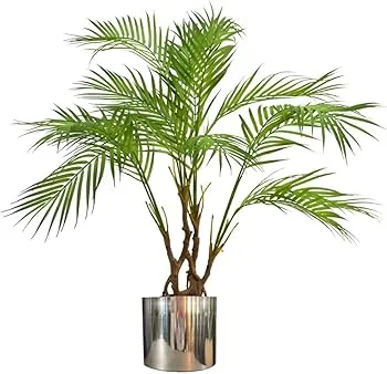Potted Palm Plant