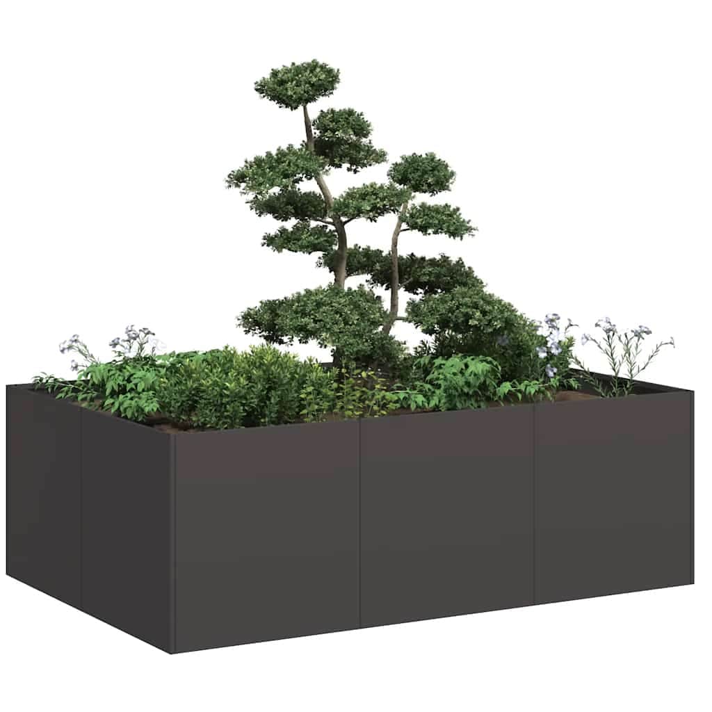 Potted Plant