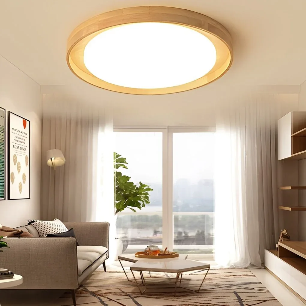 Ceiling Light