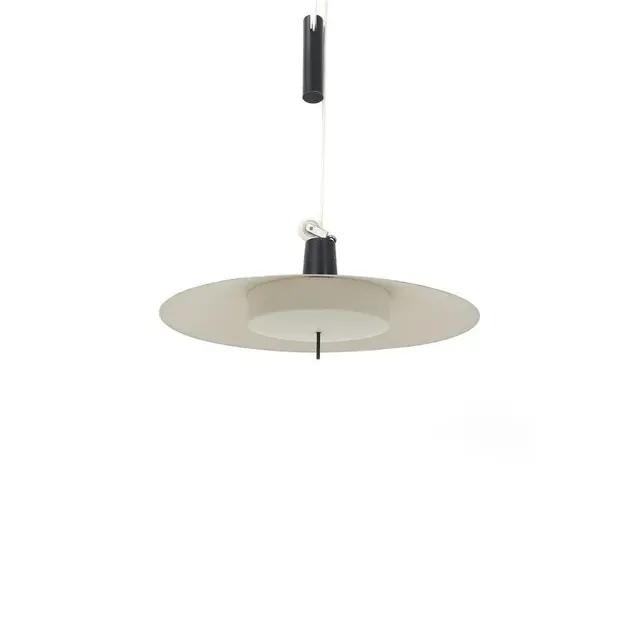 Matte Metal Pendant Light