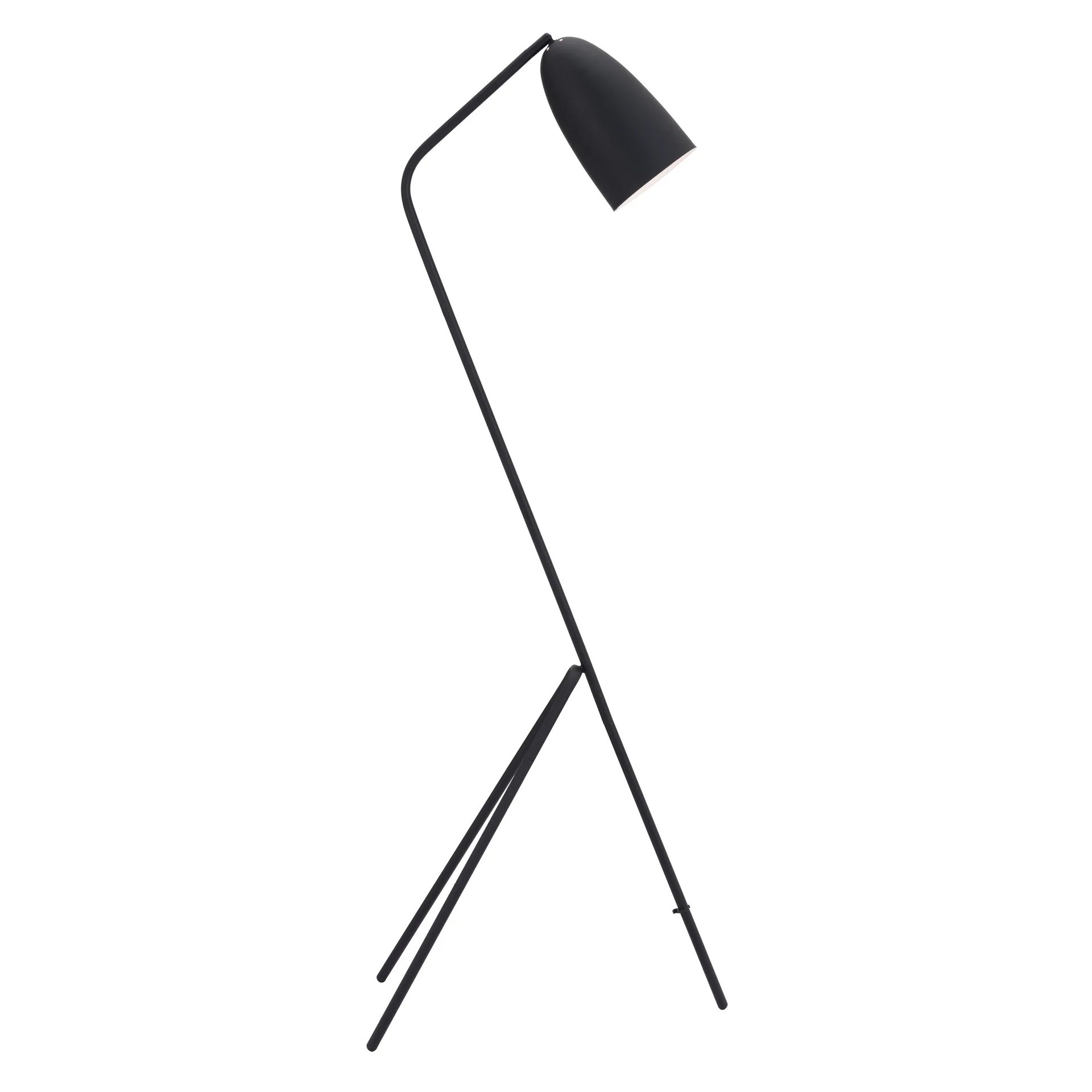 Argyll Matte Black Metal Floor Lamp