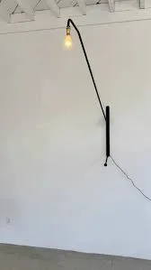 Matte Black Iron Swing Arm Wall Lamp
