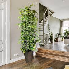 Artificial Ficus Potted Plant