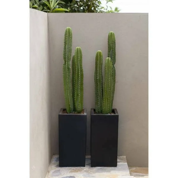 Pottery Pots Realistic San Pedro Cactus Replica Indoor/Outdoor