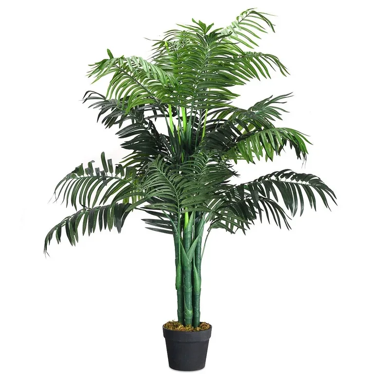 Potted Palm Plant
