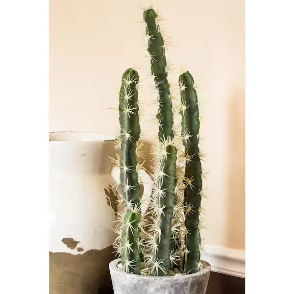 Nearly Natural Potted Cactus