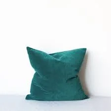 Emile Solid Velvet Throw Pillow