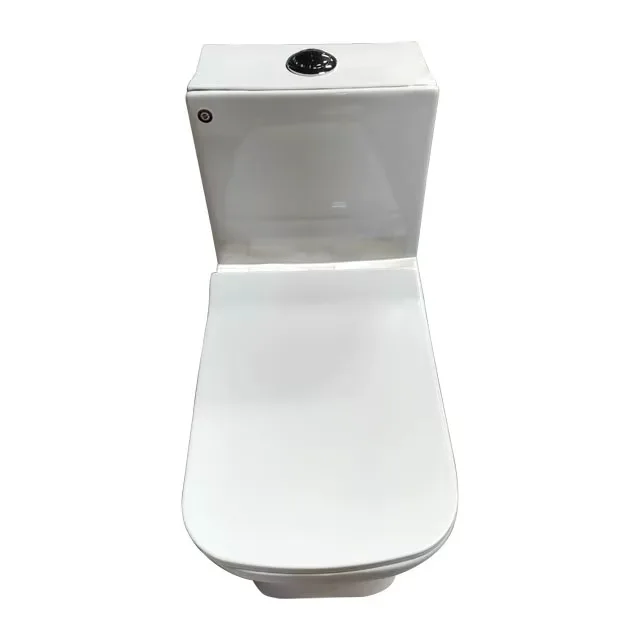 Modern White Ceramic Toilet