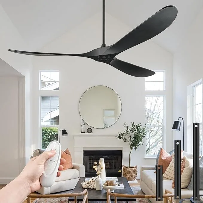 Ceiling Fan