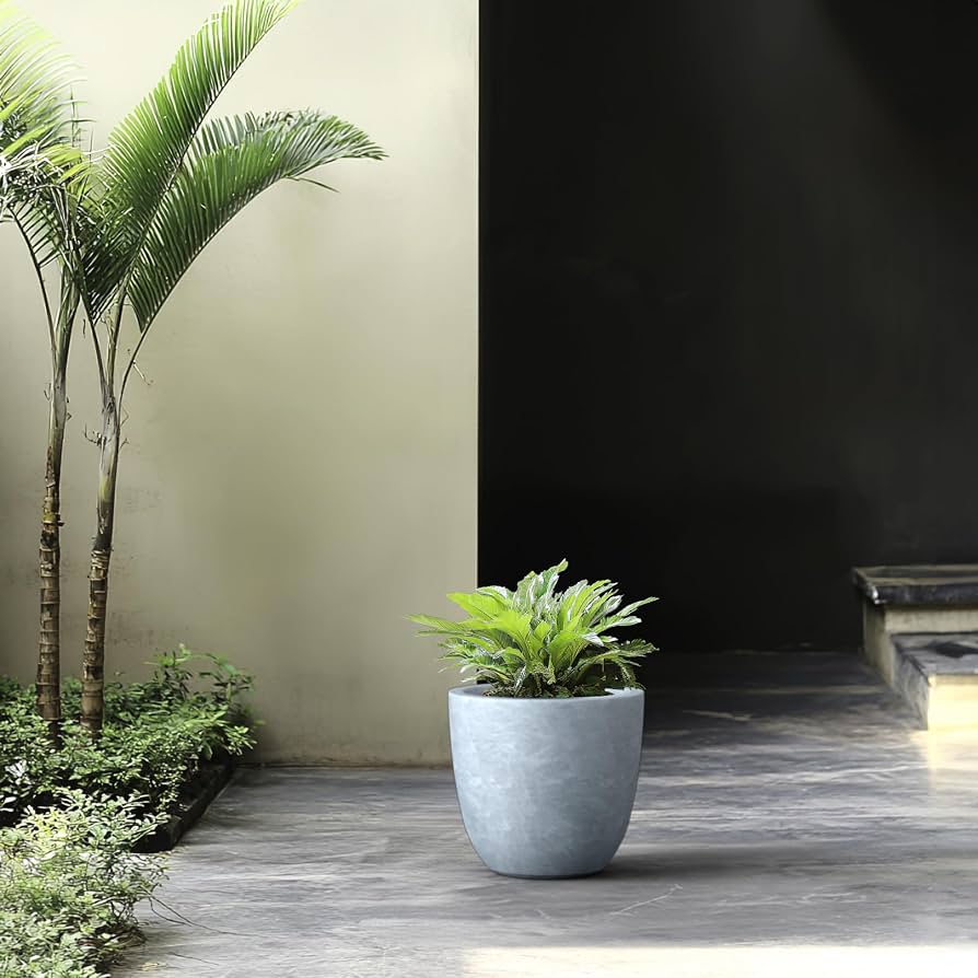 Round Concrete Potted Agave Planter