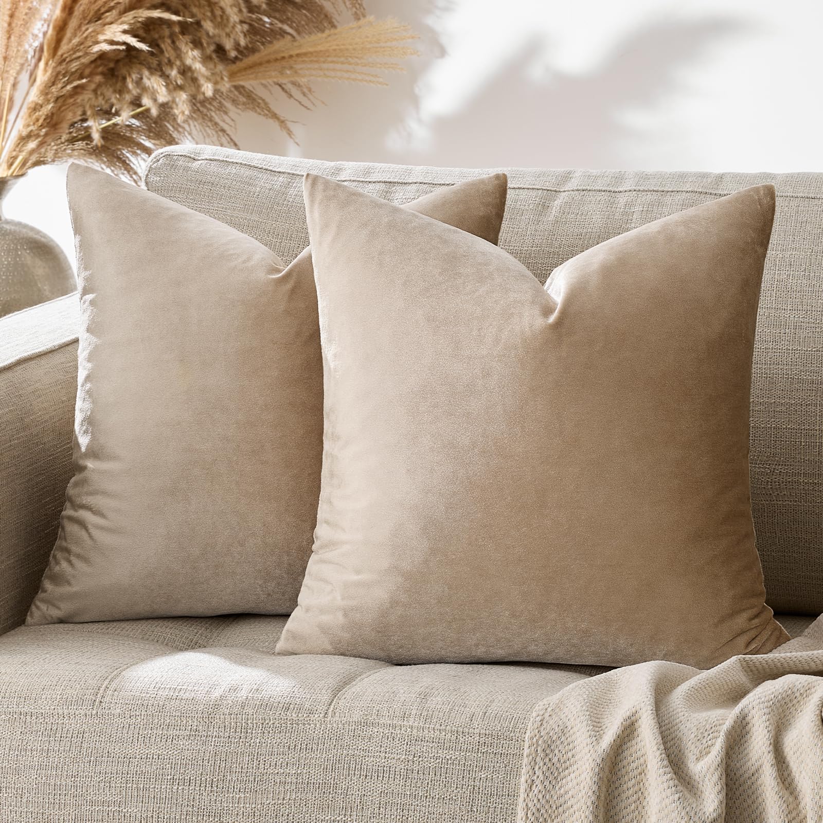 Solid Velvet Square Throw Pillow